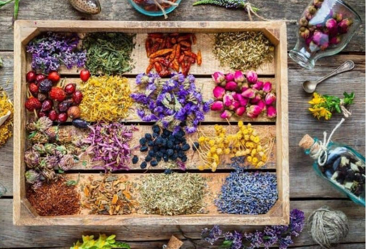 دمنوش گوارش ۸گیاه
